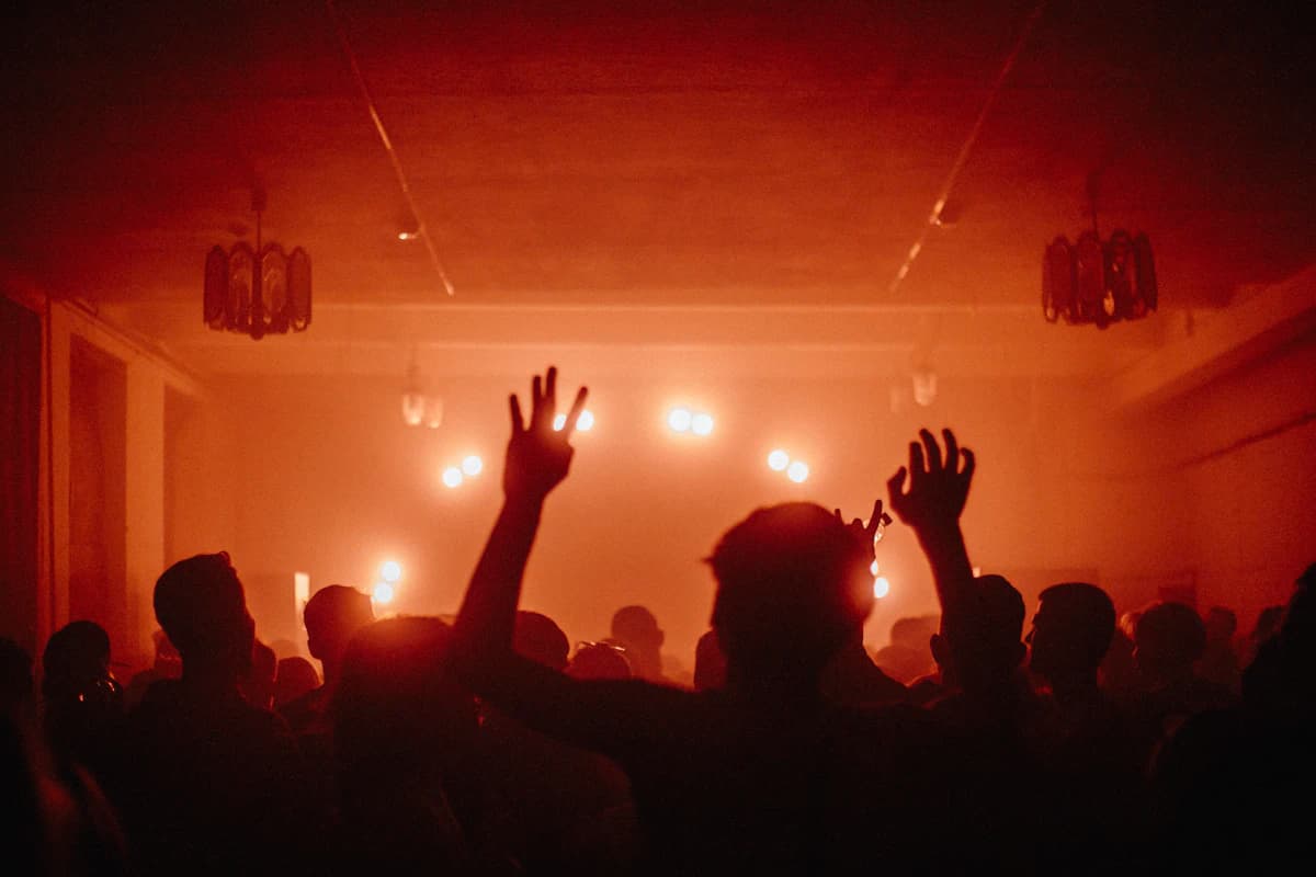 Hands up in the red haze of the dance floor